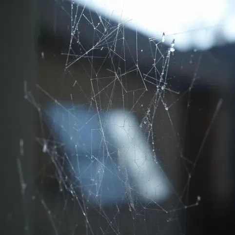 Jak myć okna które się nie otwierają