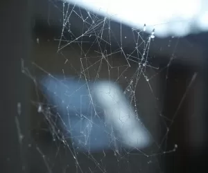 Jak myć okna które się nie otwierają